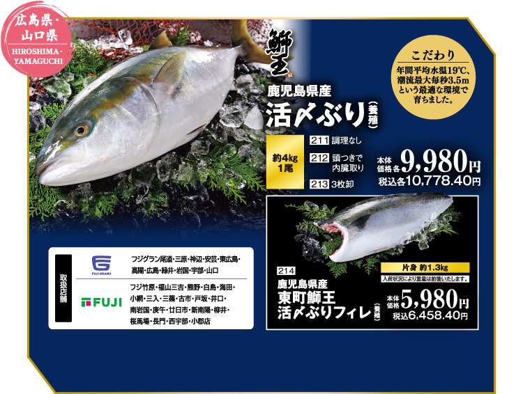 【広島県・山口県 HIROSHIMA・YAMAGUCHI】鹿児島県産 活〆ぶり（養殖）