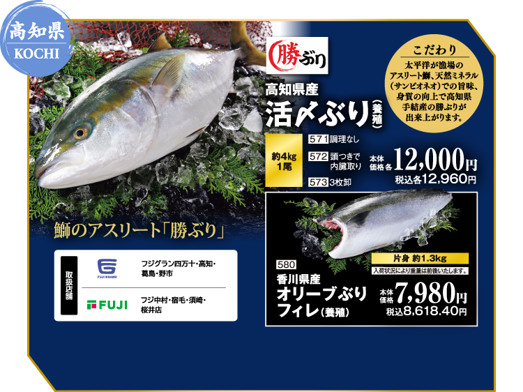 【高知県 KOCHI】高知県産 活〆ぶり（養殖）