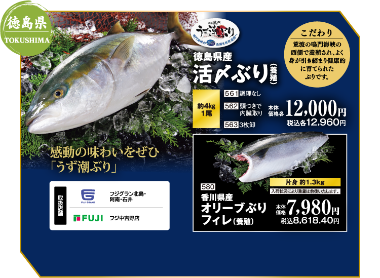 【徳島県 TOKUSHIMA】徳島県産 活〆ぶり（養殖）