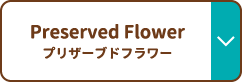 Preserved Flower プリザーブドフラワー