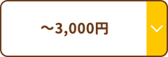 ～3000円
