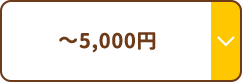 ～5000円