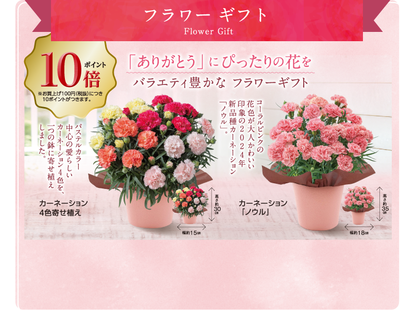 イメージ画像 Flower Gift フラワーギフト