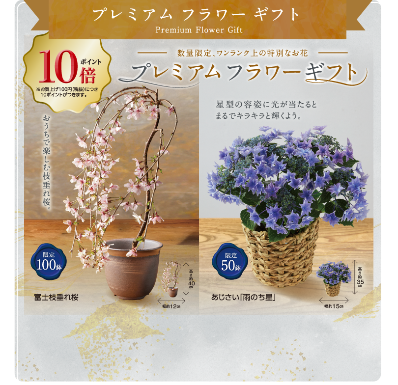 イメージ画像 Premium Flower Gift プレミアムフラワーギフト