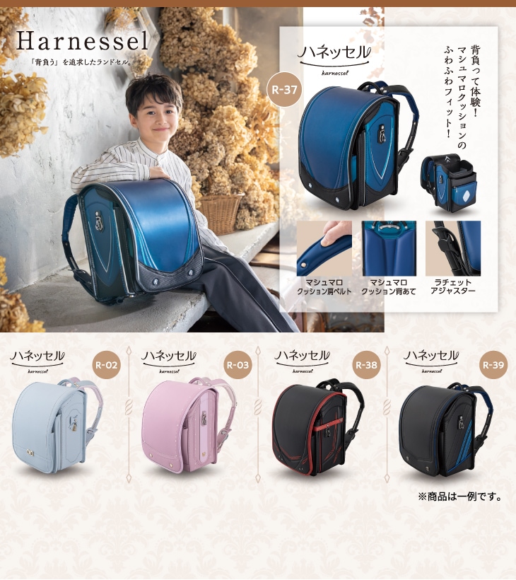 イメージ画像 ハネッセル