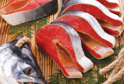 海の恵み　イメージ画像