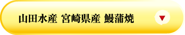 山田水産 宮崎県産 鰻蒲焼