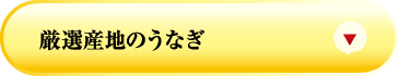 厳選産地のうなぎ