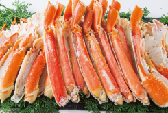 イメージ画像：海の恵み