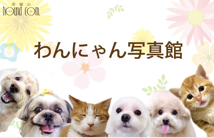 愛犬・愛猫の写真・画像「ワン・にゃん写真館」 ペット用品の通販/販売