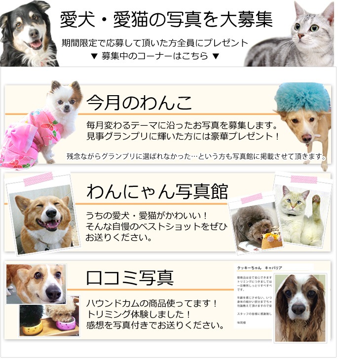 愛犬 愛猫の写真 画像 ワン にゃん写真館 ペット用品の通販 販売なら帝塚山ハウンドカム