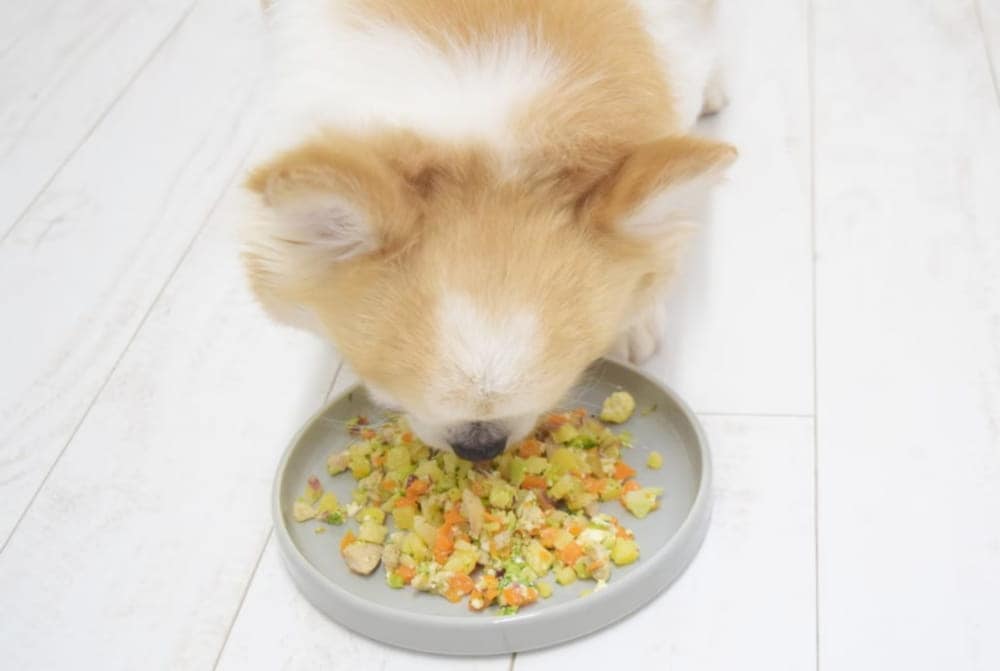 ������ꤴ�Ϥ�Τ��뿩��᡼�� 03