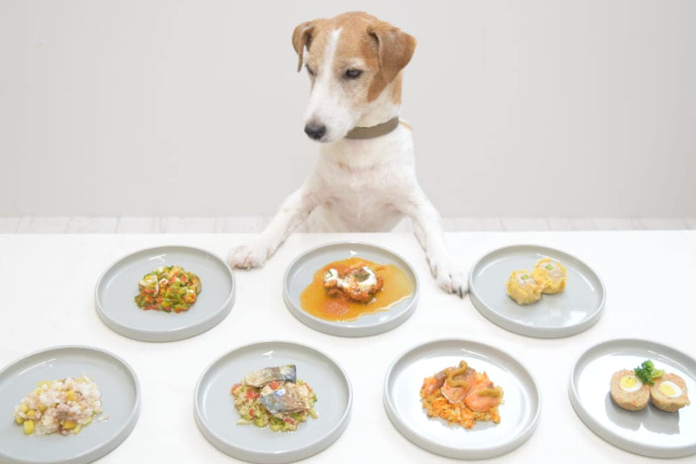��餷�ˤʤ�����ꤴ�Ϥ���礭�ʼ̿�