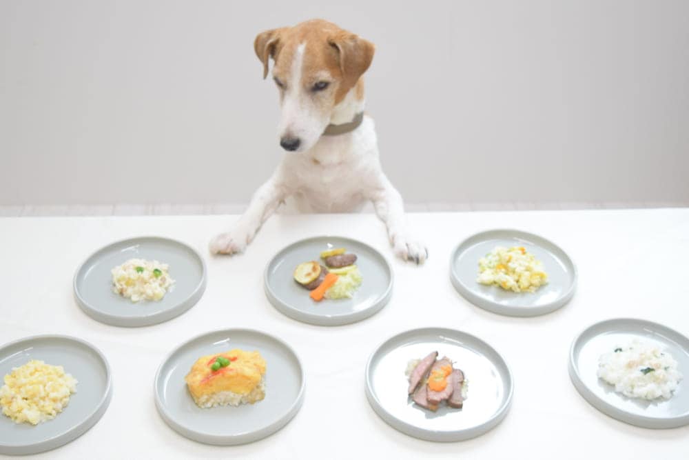 ��餷�ˤʤ�����ꤴ�Ϥ���礭�ʼ̿�