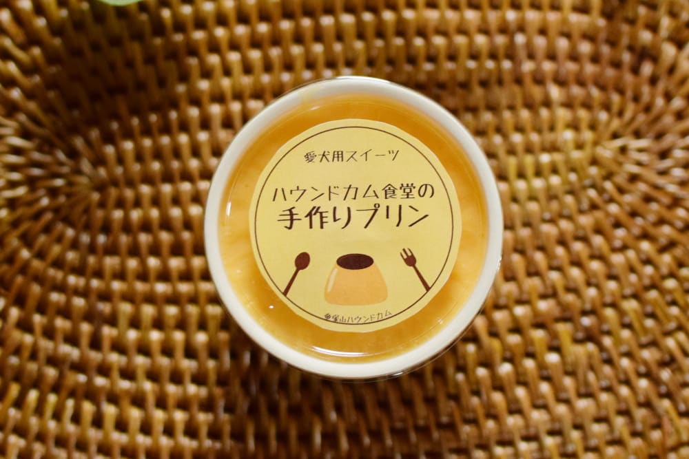 ��Ʋ�μ���ץ��