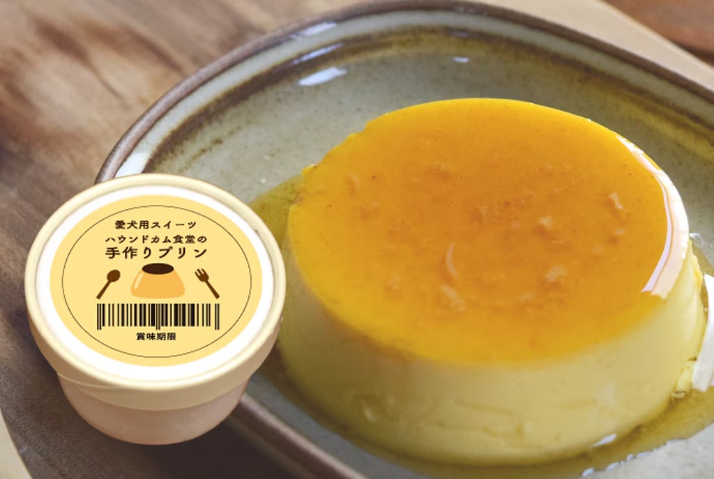 ����ץ�� ������ꤴ�Ϥ�μ̿�