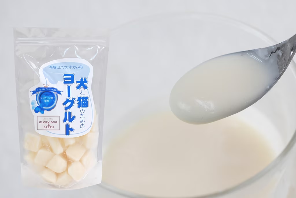 ����ǭ�Τ���Υ衼����� ������ꤪ��Ĥμ̿�