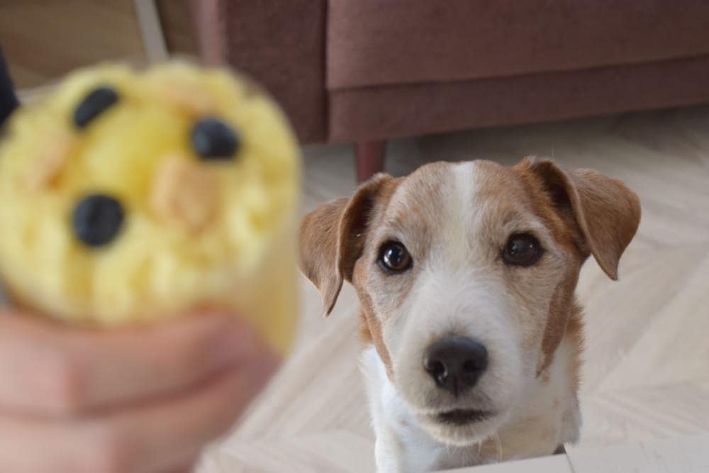 ��餷�ˤʤ�����ꤴ�Ϥ���礭�ʼ̿�