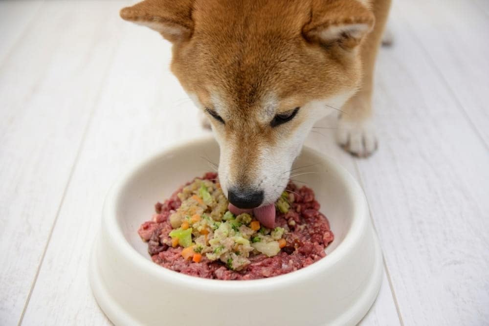 ���ꤴ�Ϥ�Τ��뿩��᡼�� 03