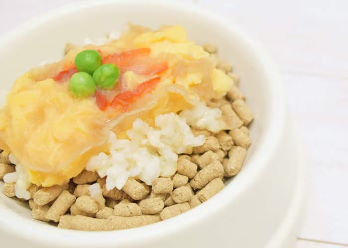 ���ꤴ�Ϥ�Τ��뿩��᡼�� 04