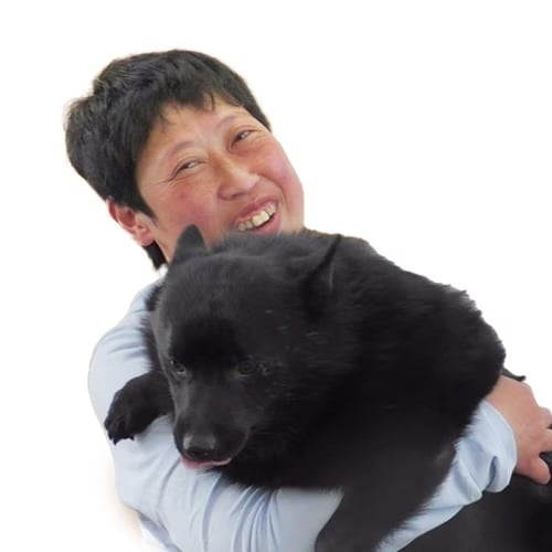 ����ɥå��ȥ졼�ʡ������