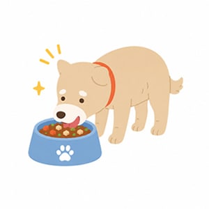 ���٤뤳�Ȥ�����