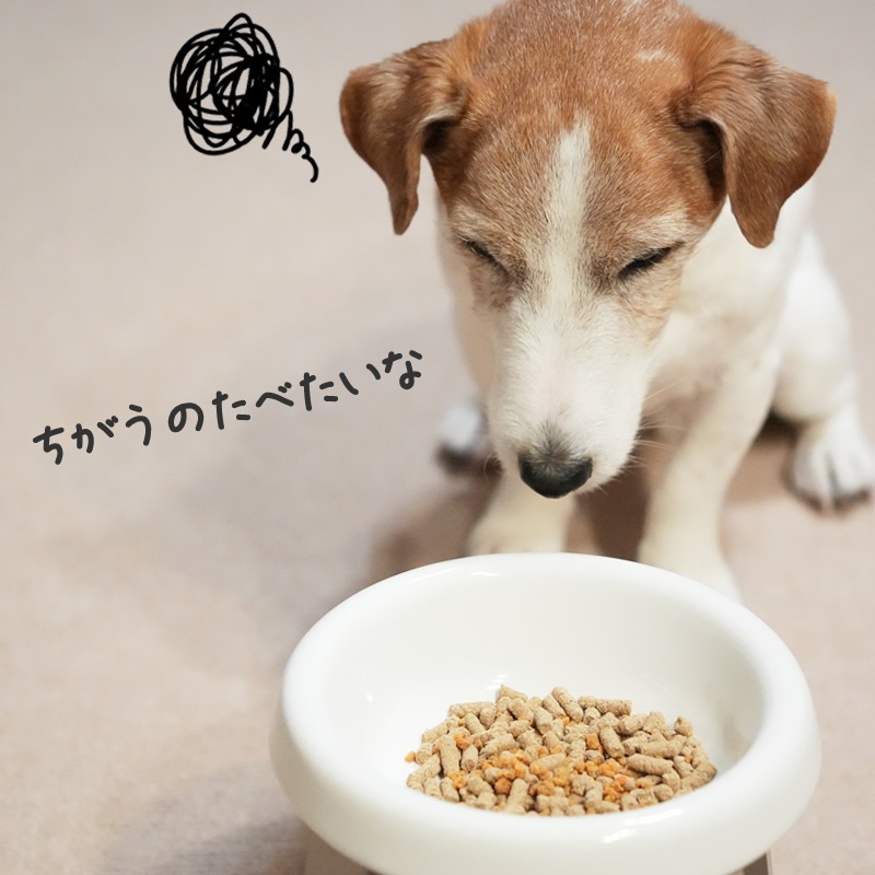 ���Ϥ�򸫤Ĥ�븤