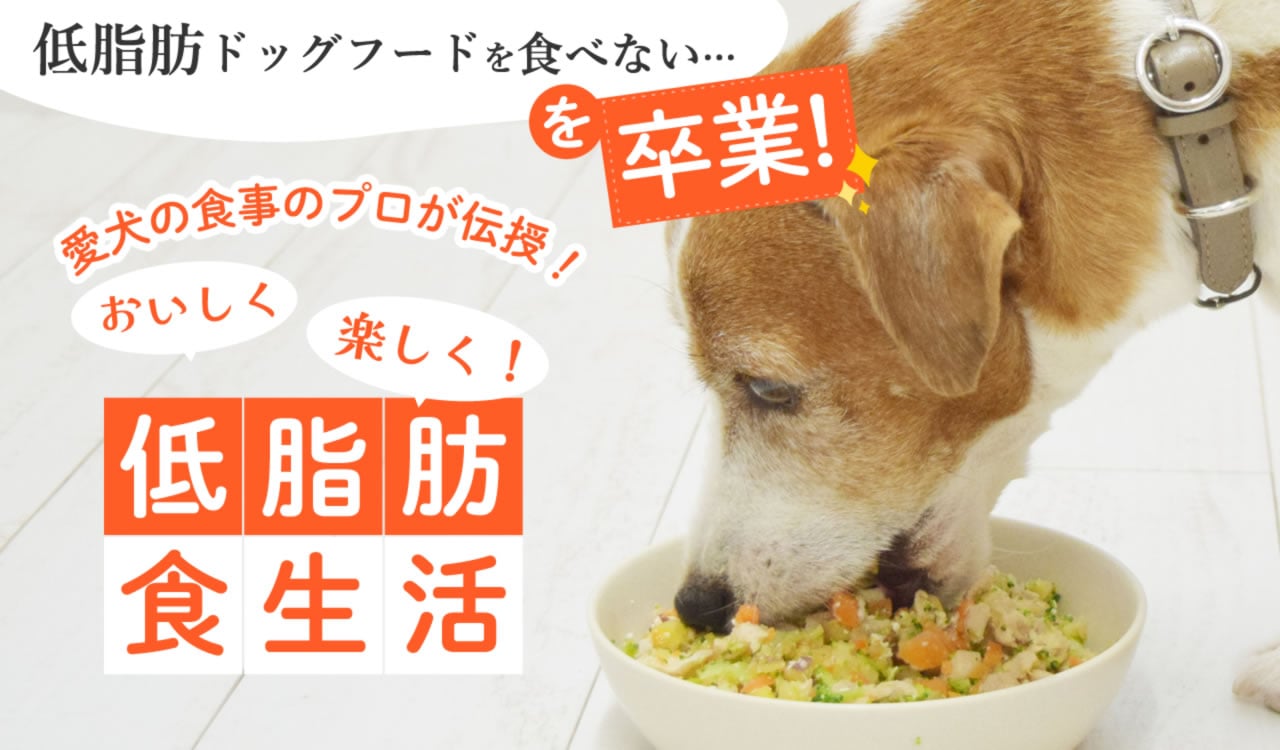 低脂肪食生活（低脂肪特集）