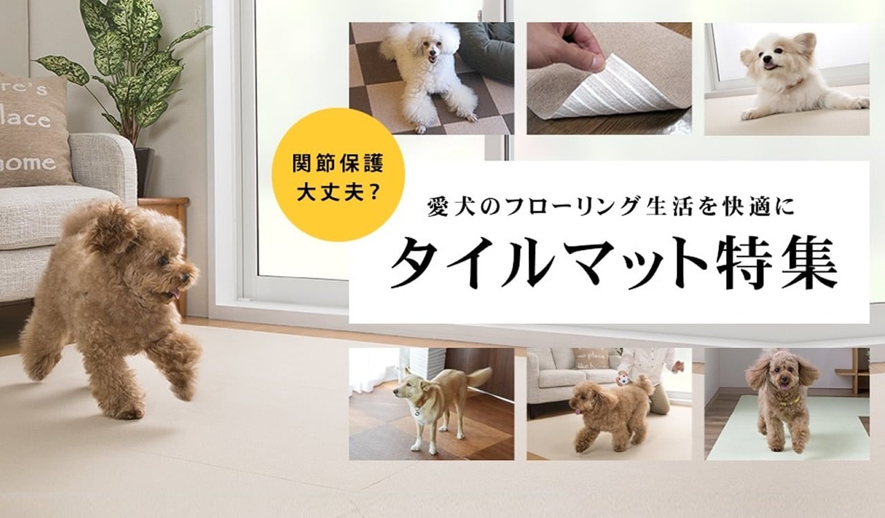 タイルマットキャンペーン
