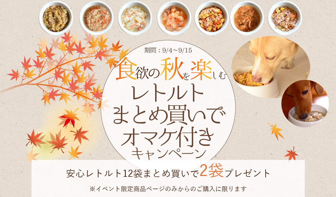 レトルトフェス