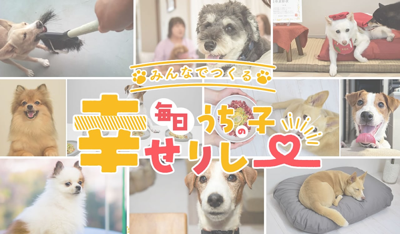 みんなで作るうちの子幸せリレー