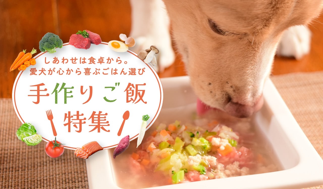 手作りご飯特集