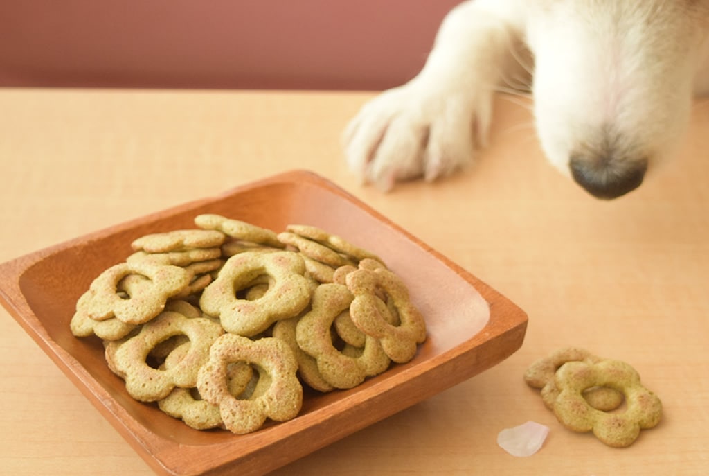 ���Ǻ�ι�Ф����ǰ�������֤���Ĥˡ�