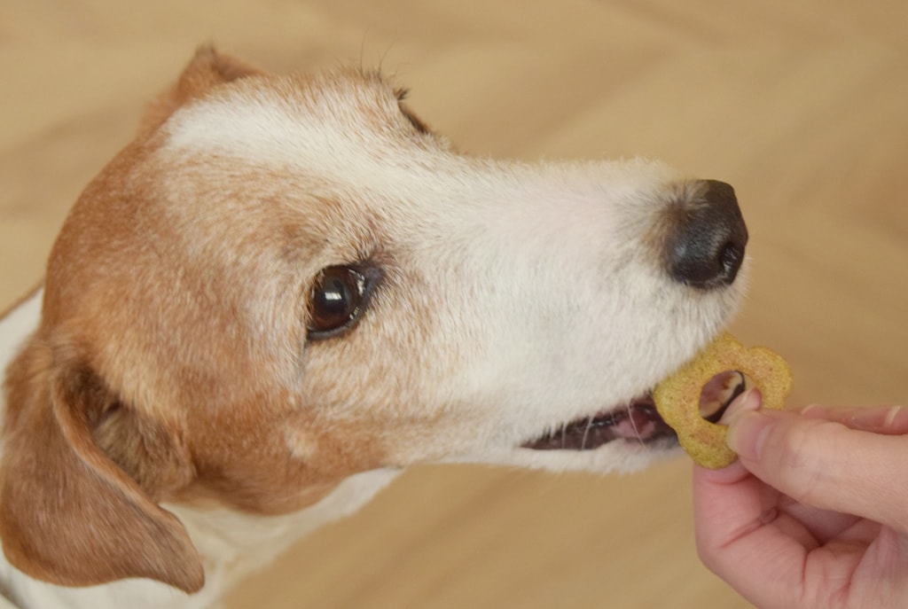 ��ʢ�ˤ��줷���Ǻ�򤿤äפ�