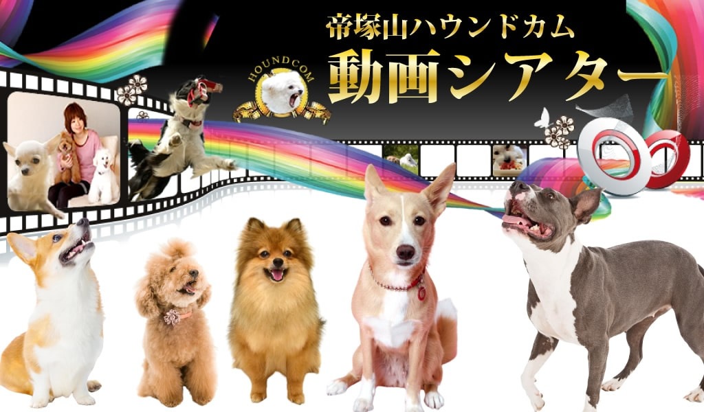 ハウンドカム公式チャンネル