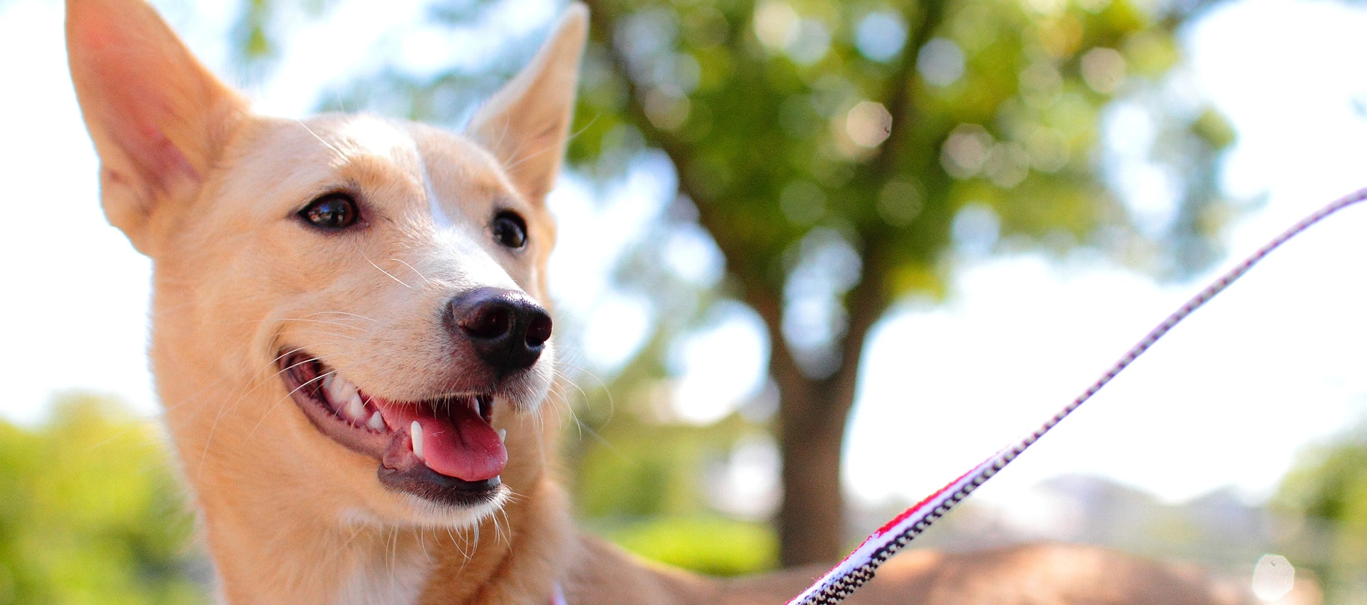 ���ʤ��ΰ�����������20�Фޤ������뤿���