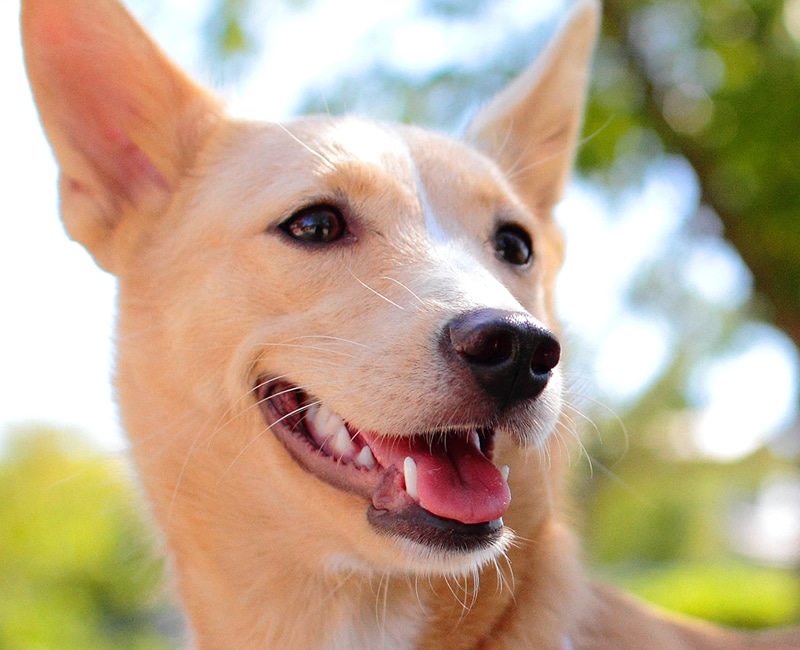 ���ʤ��ΰ�����������20�Фޤ������뤿���