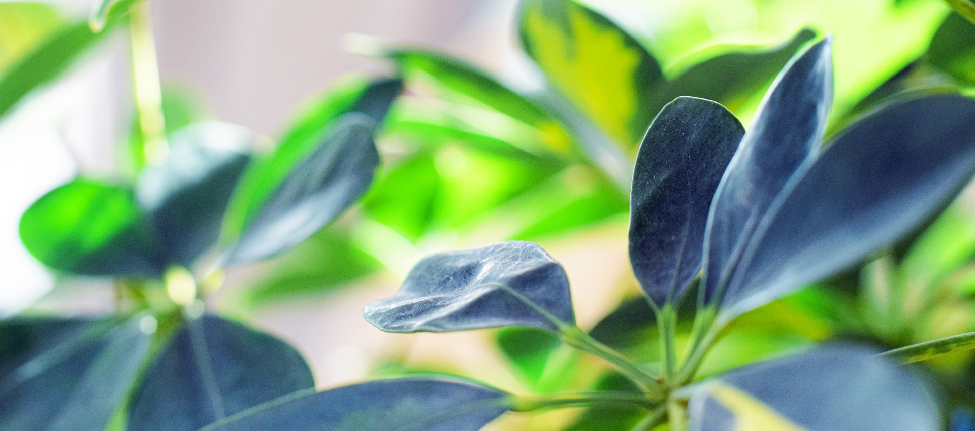 �����ƥ��ʥ֥�ó���������ͻ��ϥ���ɥ���