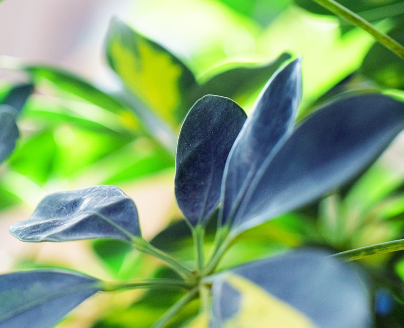 �����ƥ��ʥ֥�ó���������ͻ��ϥ���ɥ���