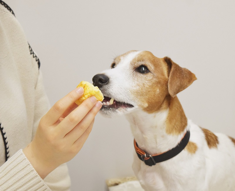 �����ΰ���