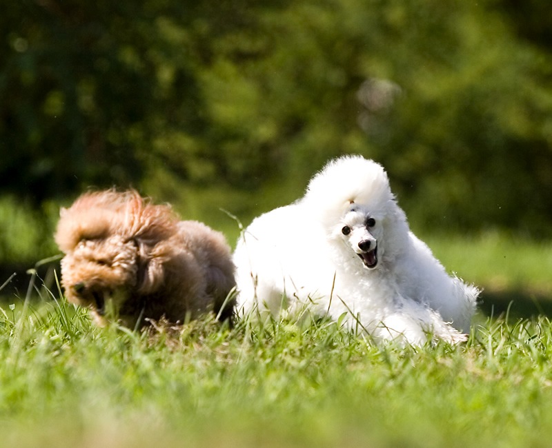 ��ư�������������������