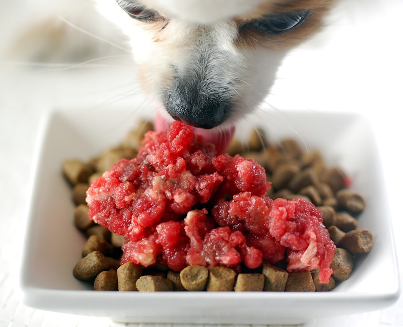 ��̿�Ϥ��դ��ʥ�����ʿ���