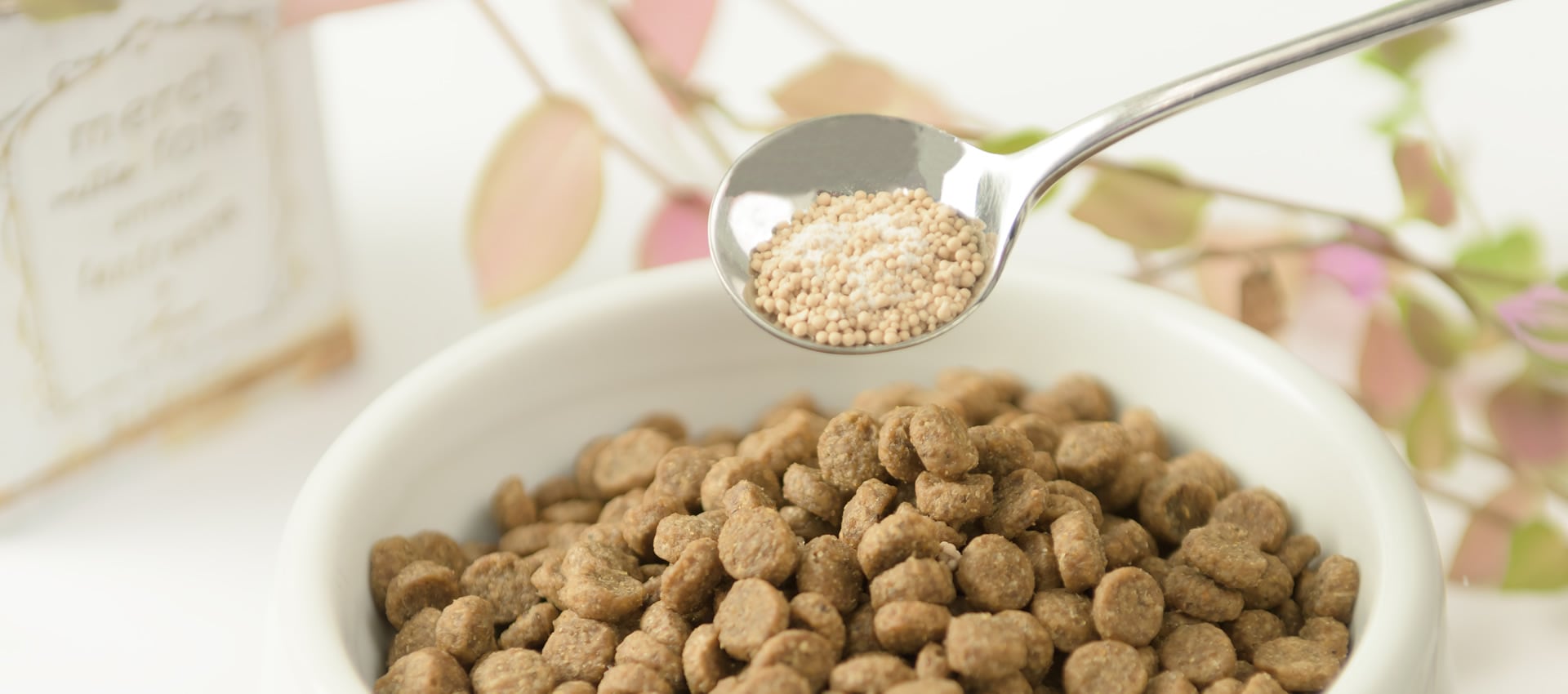 ���ץ���ȤؤΤ������