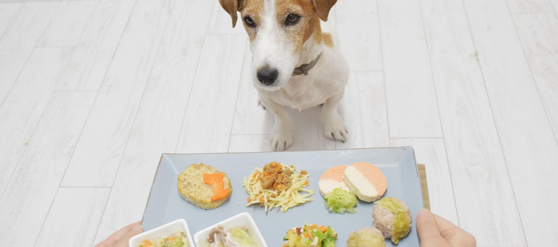 ���꿩�ؤ��ۤ�