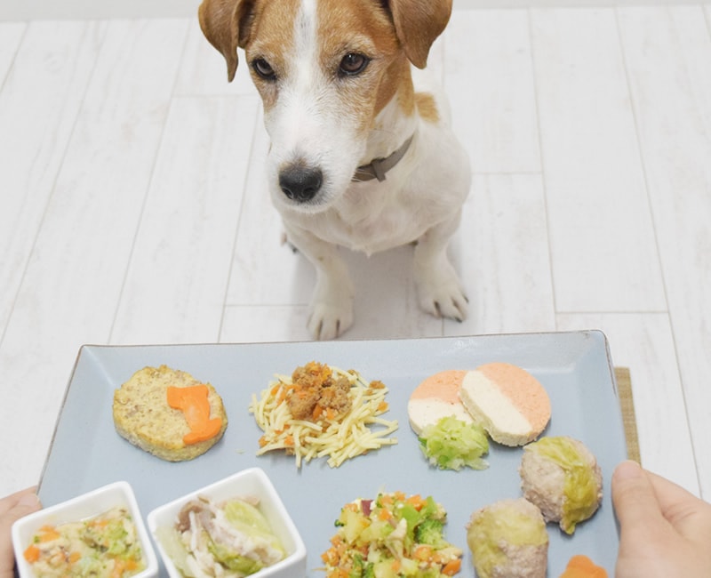 ���꿩�ؤ��ۤ�