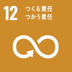 SDGs12