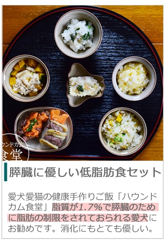 愛犬のちゃんと知ってほしい下痢特集 ドッグフード通販/販売の帝塚山 
