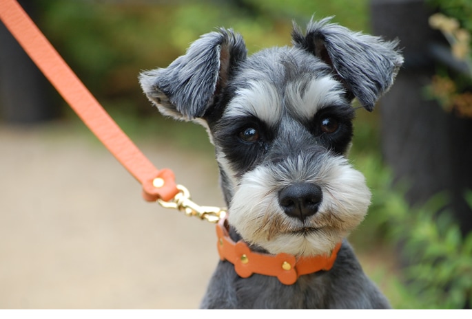 �Ҷ��äݤ��ܡ����´�ȡ�