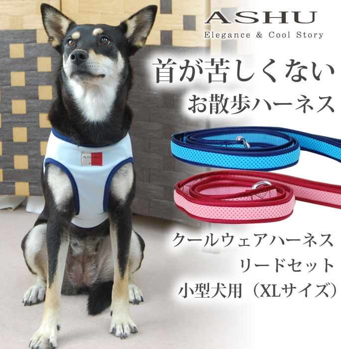 ASHUウェアハーネス水玉＆リードセット XLサイズ(中型犬用)
