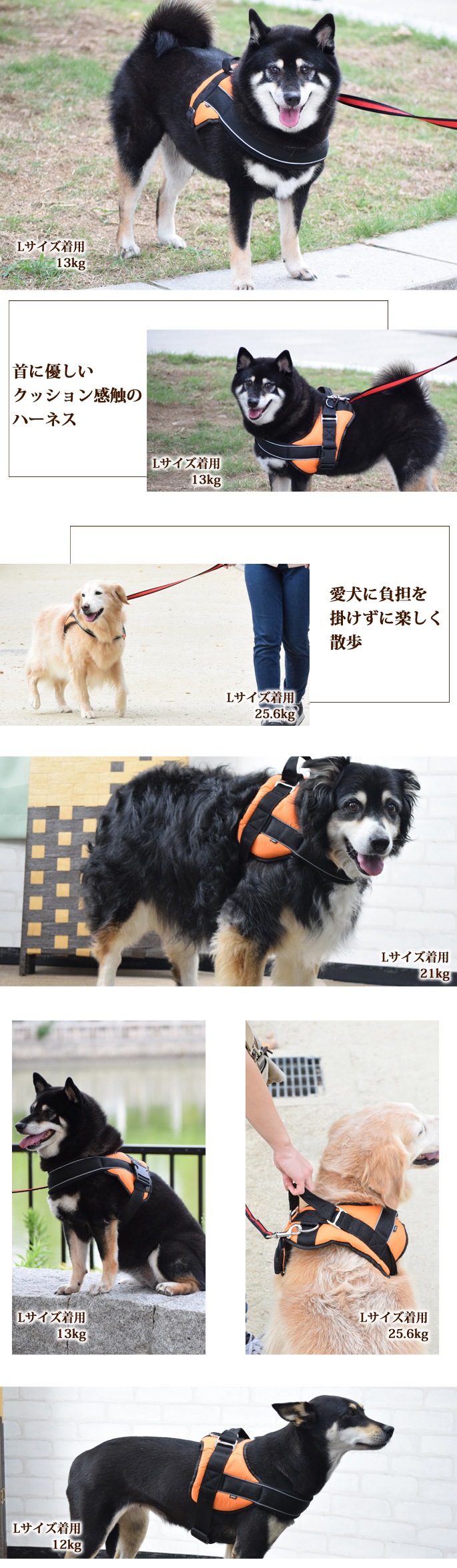 中・大型犬用ハーネス｜首に優しいクッションハーネス サイズL